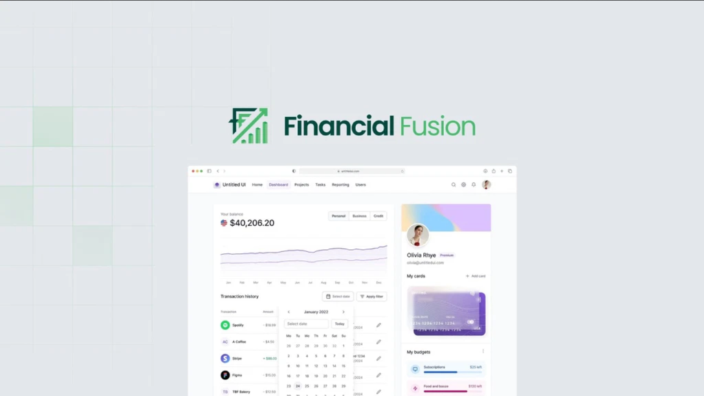 Buy Financial Fusion Software Course